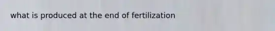 what is produced at the end of fertilization