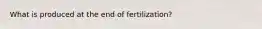 What is produced at the end of fertilization?