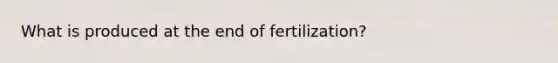 What is produced at the end of fertilization?