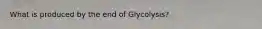 What is produced by the end of Glycolysis?