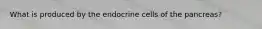 What is produced by the endocrine cells of the pancreas?