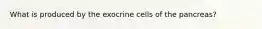 What is produced by the exocrine cells of the pancreas?