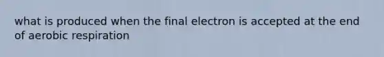 what is produced when the final electron is accepted at the end of aerobic respiration