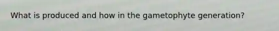 What is produced and how in the gametophyte generation?