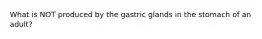 What is NOT produced by the gastric glands in the stomach of an adult?