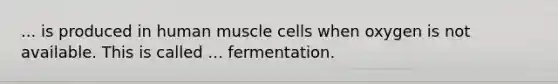 ... is produced in human muscle cells when oxygen is not available. This is called ... fermentation.