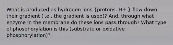 What is produced as hydrogen ions (protons, H+ ) flow down their gradient (i.e., the gradient is used)? And, through what enzyme in the membrane do these ions pass through? What type of phosphorylation is this (substrate or oxidative phosphorylation)?