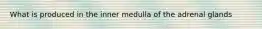 What is produced in the inner medulla of the adrenal glands
