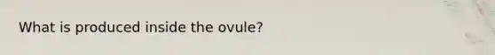 What is produced inside the ovule?