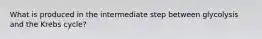 What is produced in the intermediate step between glycolysis and the Krebs cycle?