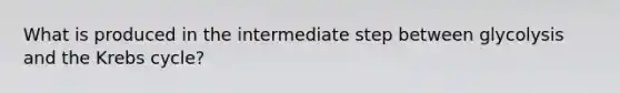 What is produced in the intermediate step between glycolysis and the Krebs cycle?