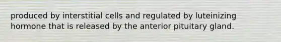 produced by interstitial cells and regulated by luteinizing hormone that is released by the anterior pituitary gland.