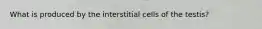 What is produced by the interstitial cells of the testis?