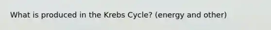 What is produced in the Krebs Cycle? (energy and other)