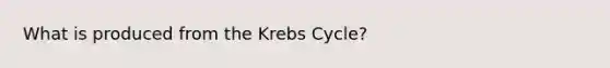 What is produced from the Krebs Cycle?