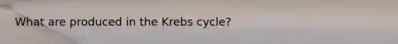 What are produced in the <a href='https://www.questionai.com/knowledge/kqfW58SNl2-krebs-cycle' class='anchor-knowledge'>krebs cycle</a>?