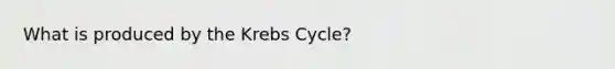 What is produced by the Krebs Cycle?