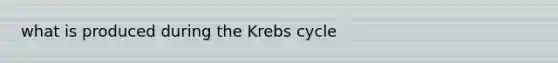 what is produced during the Krebs cycle