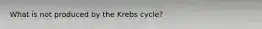 What is not produced by the Krebs cycle?