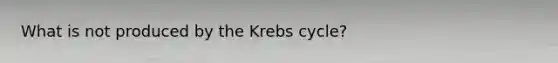 What is not produced by the Krebs cycle?