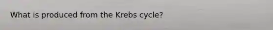 What is produced from the Krebs cycle?