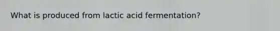 What is produced from lactic acid fermentation?