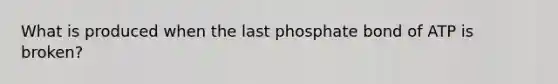 What is produced when the last phosphate bond of ATP is broken?