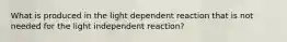 What is produced in the light dependent reaction that is not needed for the light independent reaction?