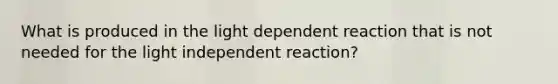 What is produced in the light dependent reaction that is not needed for the light independent reaction?