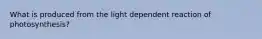 What is produced from the light dependent reaction of photosynthesis?