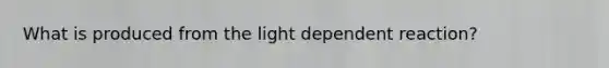 What is produced from the light dependent reaction?