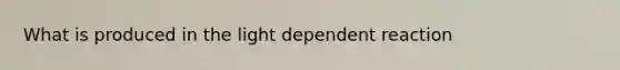 What is produced in the light dependent reaction