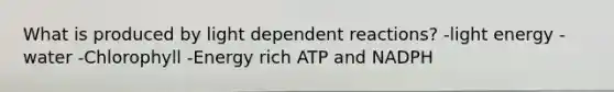 What is produced by light dependent reactions? -light energy -water -Chlorophyll -Energy rich ATP and NADPH