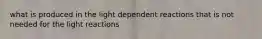 what is produced in the light dependent reactions that is not needed for the light reactions