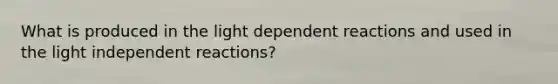 What is produced in the light dependent reactions and used in the light independent reactions?