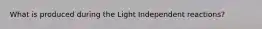 What is produced during the Light Independent reactions?