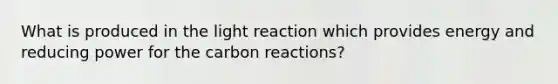 What is produced in the light reaction which provides energy and reducing power for the carbon reactions?