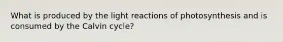 What is produced by the light reactions of photosynthesis and is consumed by the Calvin cycle?