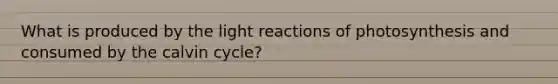 What is produced by the light reactions of photosynthesis and consumed by the calvin cycle?