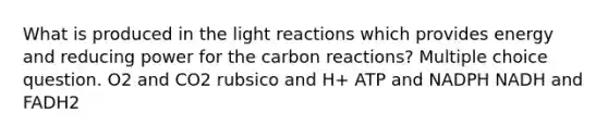 What is produced in the light reactions which provides energy and reducing power for the carbon reactions? Multiple choice question. O2 and CO2 rubsico and H+ ATP and NADPH NADH and FADH2