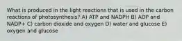 What is produced in the light reactions that is used in the carbon reactions of photosynthesis? A) ATP and NADPH B) ADP and NADP+ C) carbon dioxide and oxygen D) water and glucose E) oxygen and glucose