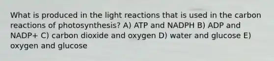 What is produced in the <a href='https://www.questionai.com/knowledge/kSUoWrrvoC-light-reactions' class='anchor-knowledge'>light reactions</a> that is used in the carbon reactions of photosynthesis? A) ATP and NADPH B) ADP and NADP+ C) carbon dioxide and oxygen D) water and glucose E) oxygen and glucose