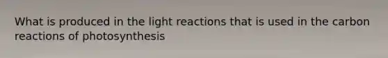 What is produced in the light reactions that is used in the carbon reactions of photosynthesis