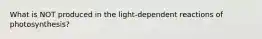 What is NOT produced in the light-dependent reactions of photosynthesis?