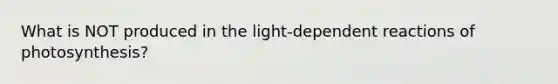 What is NOT produced in the light-dependent reactions of photosynthesis?