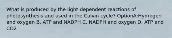 What is produced by the light-dependent reactions of photosynthesis and used in the Calvin cycle? OptionA:Hydrogen and oxygen B. ATP and NADPH C. NADPH and oxygen D. ATP and CO2