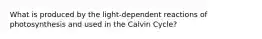 What is produced by the light-dependent reactions of photosynthesis and used in the Calvin Cycle?