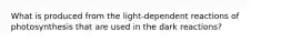 What is produced from the light-dependent reactions of photosynthesis that are used in the dark reactions?