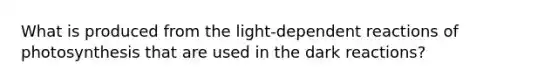 What is produced from the light-dependent reactions of photosynthesis that are used in the dark reactions?