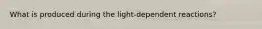 What is produced during the light-dependent reactions?